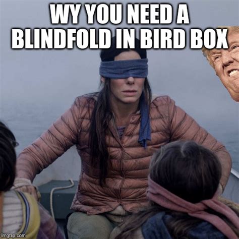 bird box blindfold meme